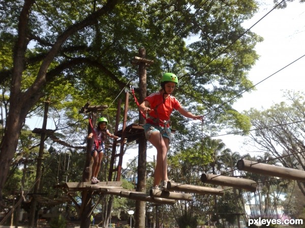 Tree Climbing