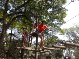 TreeClimbing