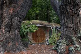 wood Hobbits Picture