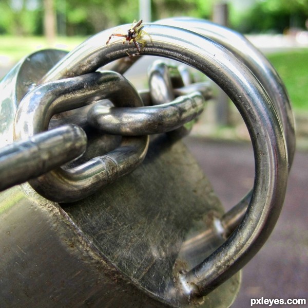 chain through hole