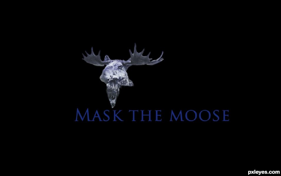 Creation of The Moose Is Loose: Step 1