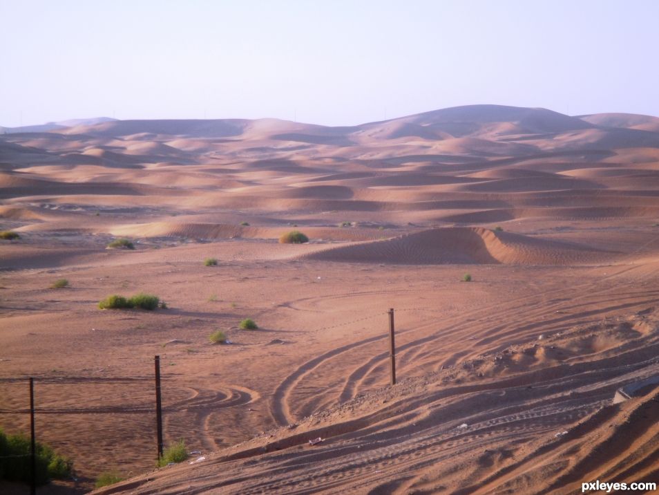 Sand Dunes and sky