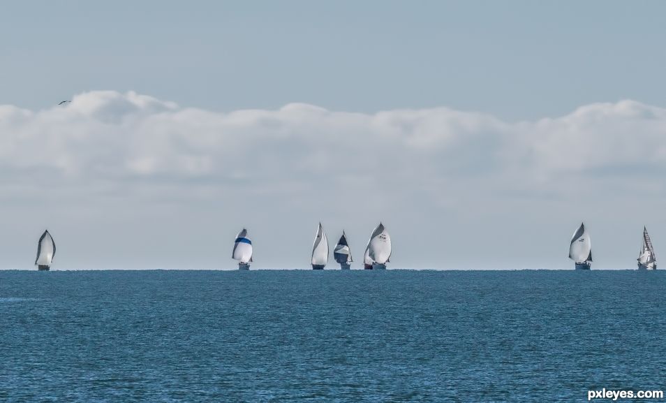 Sails on the horizon