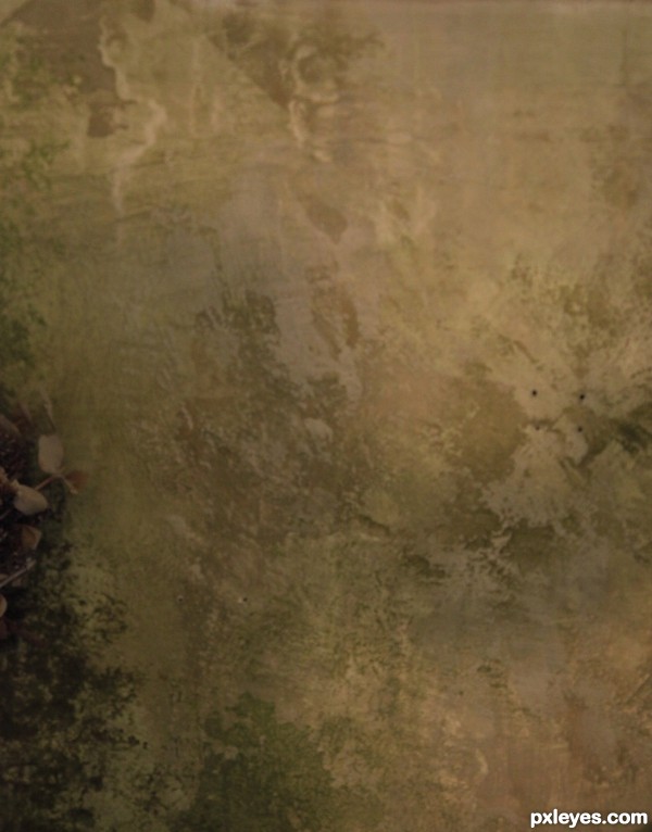 Creation of Forget Me Not: Step 3