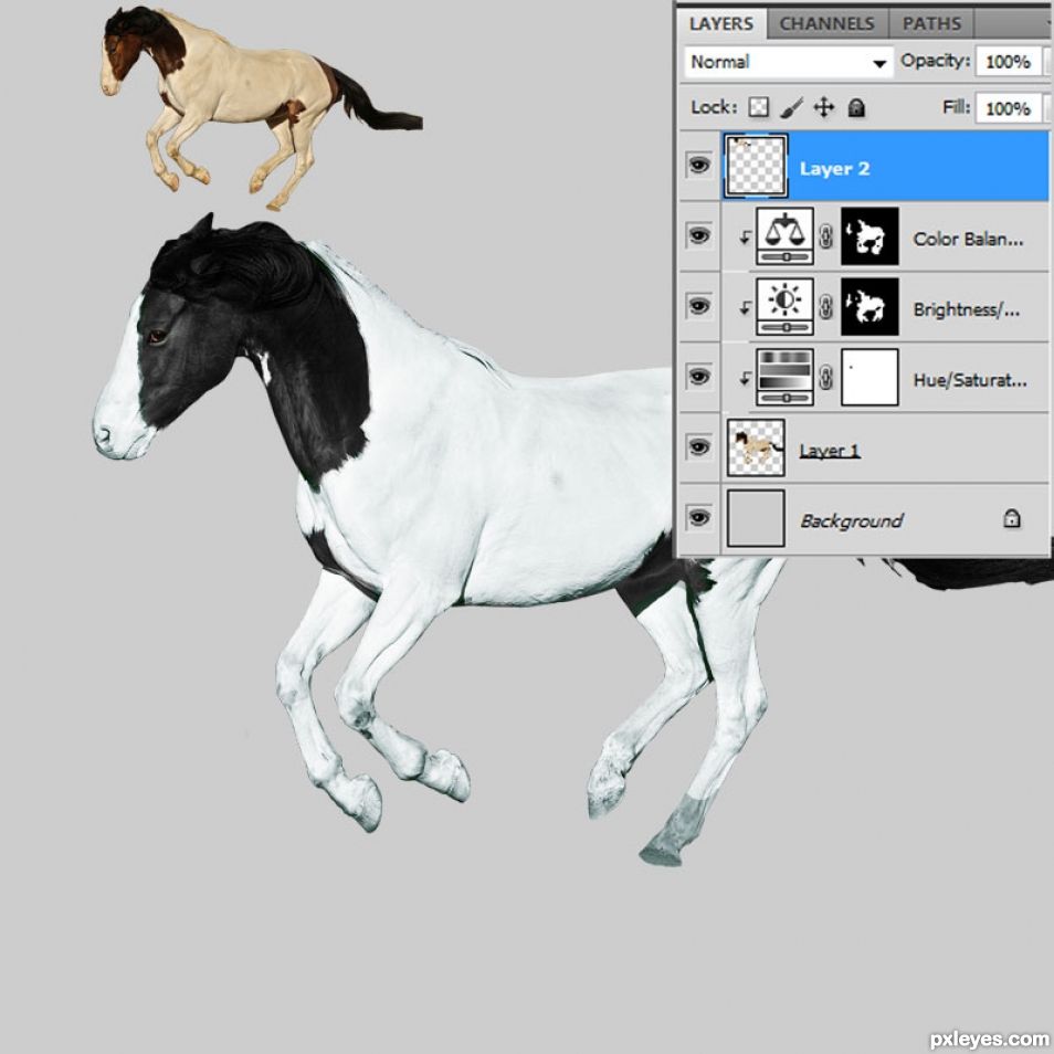 Creation of Carousel Pony: Step 1