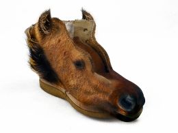 Horse Shoe Picture