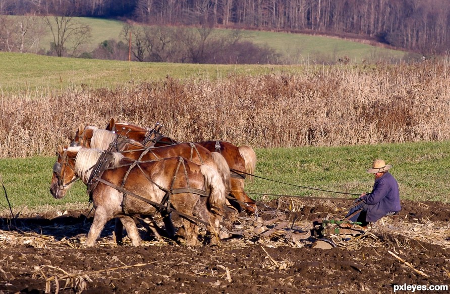 Plowing