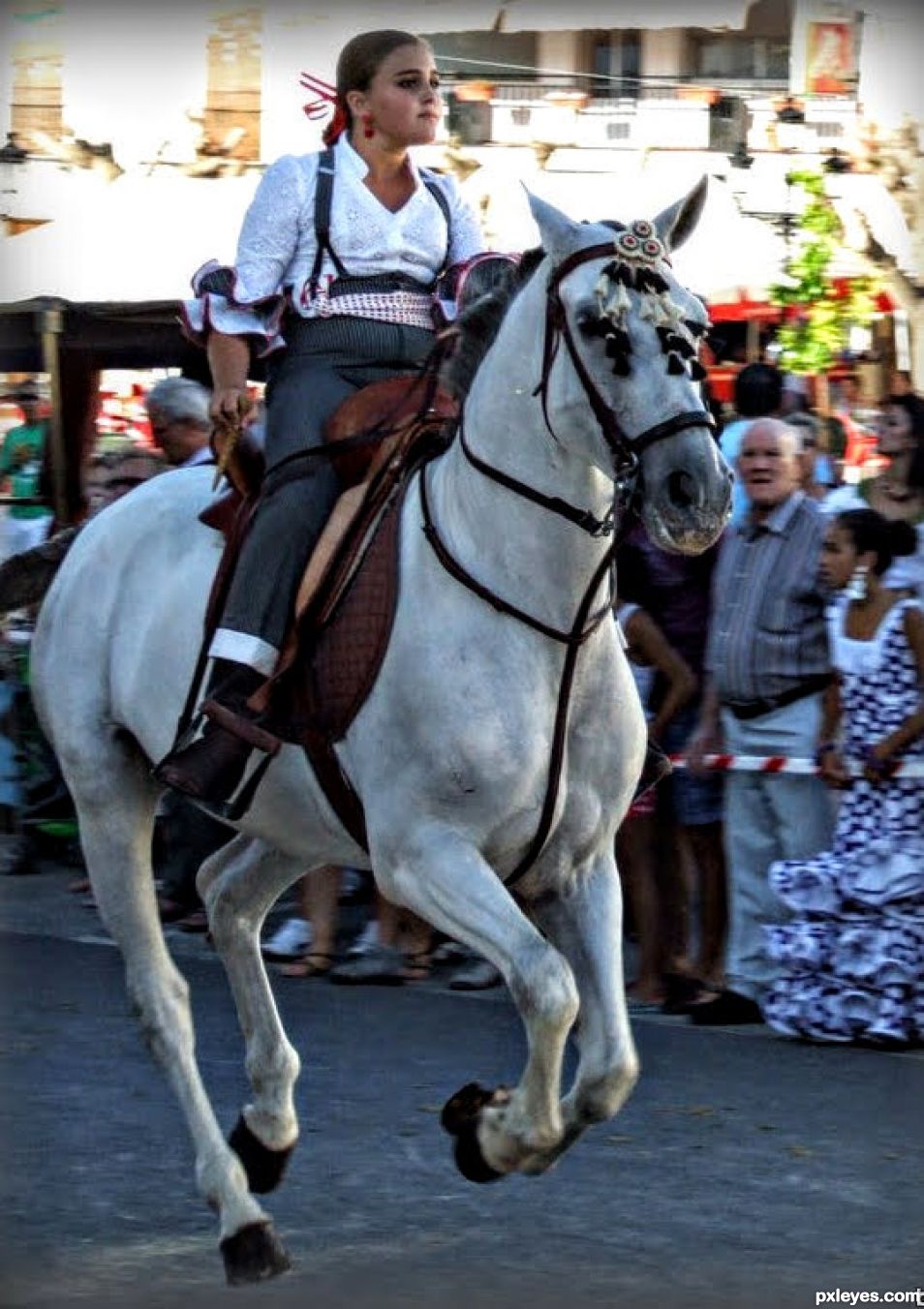 Spanish Horse