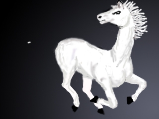Creation of horse: Step 4