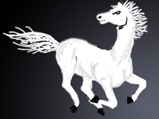 Creation of horse: Step 5