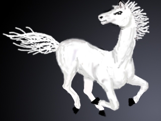 Creation of horse: Step 7