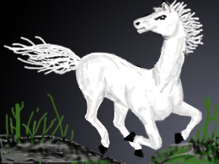 Creation of horse: Step 8