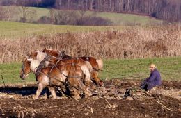 Plowing