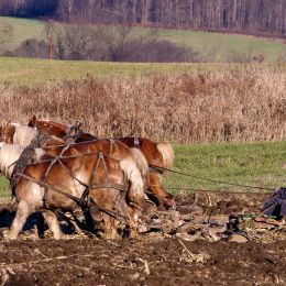 Plowing