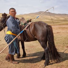 HorsemanofOuterMongolia