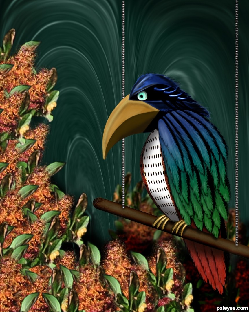 Tropical Bird photoshop picture)