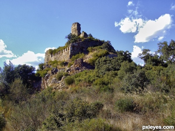 Castell Roig