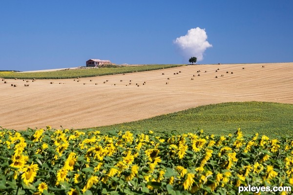 lone farm house