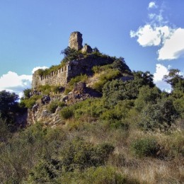 Castell Roig