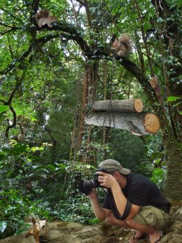 squrrel attack