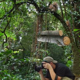 squrrel attack Picture