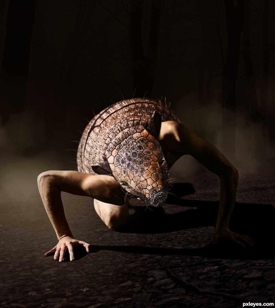 Creation of At Night, the Armadillo Man Comes Out.: Final Result