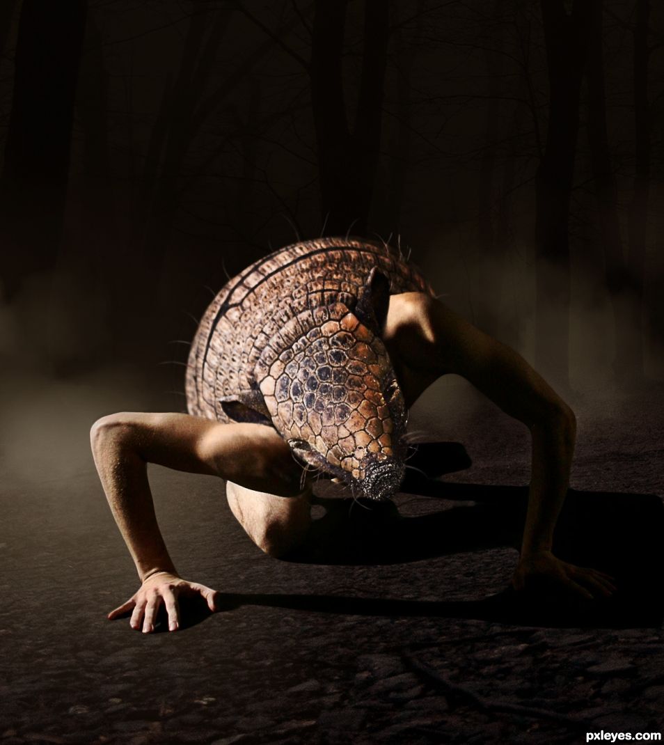 Creation of At Night, the Armadillo Man Comes Out.: Step 1