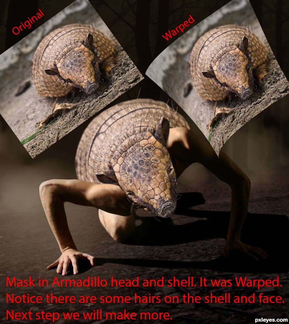 Creation of At Night, the Armadillo Man Comes Out.: Step 7