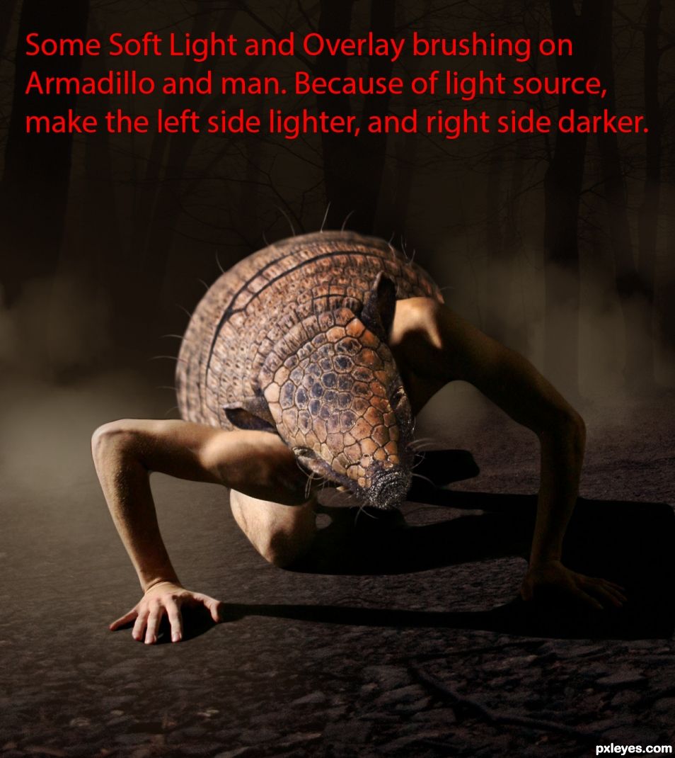 Creation of At Night, the Armadillo Man Comes Out.: Step 9