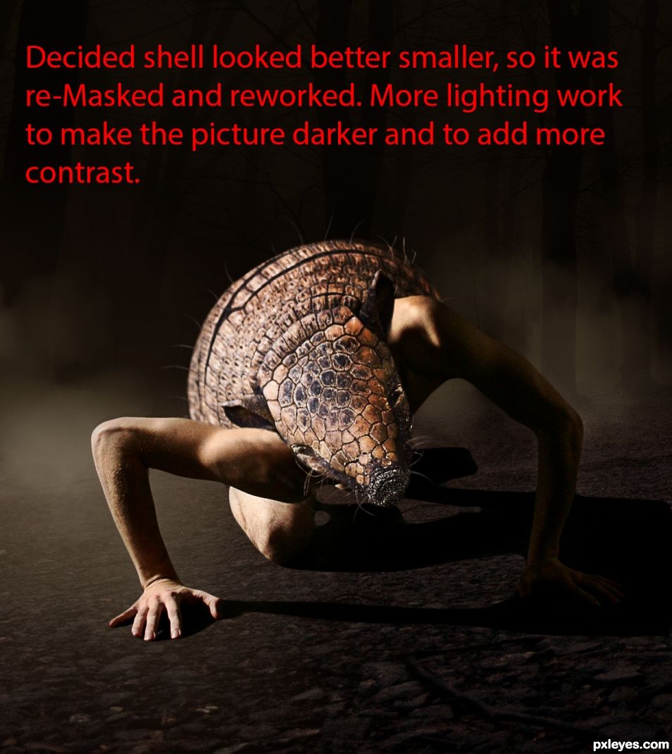 Creation of At Night, the Armadillo Man Comes Out.: Step 10