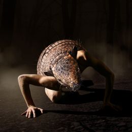 At Night, the Armadillo Man Comes Out. Picture