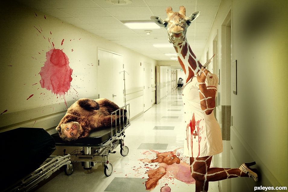 Bear meets Giraffe...