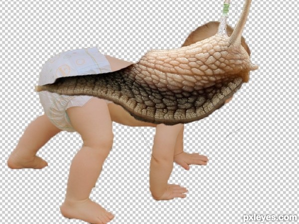 Creation of Are You Sure Shelly Is Our Daughter?: Step 1