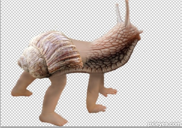 Creation of Are You Sure Shelly Is Our Daughter?: Step 3