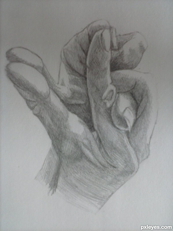 Creation of Hands in the shape of a frog.: Final Result