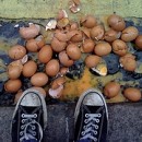 humpty dumpy photography contest
