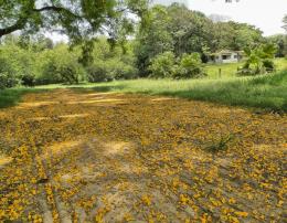 Forming a carpet