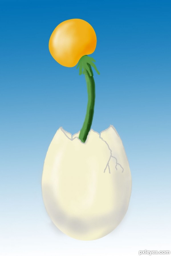 Creation of Egg Flower: Step 2