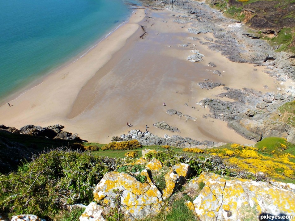 Gower coast