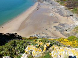 Gower coast