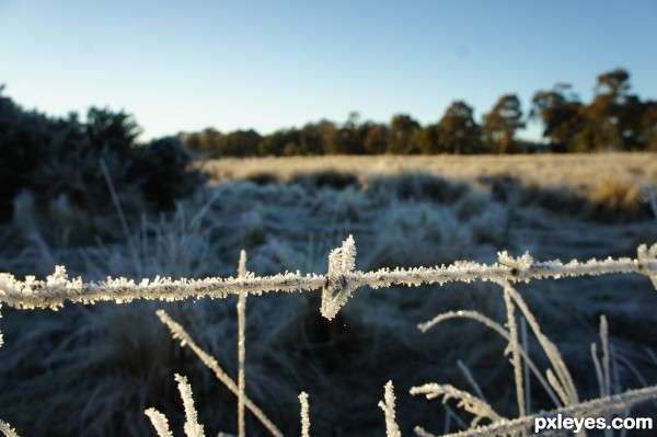 cold moring at Lancefield