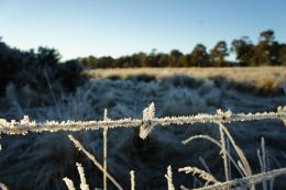 cold moring at Lancefield