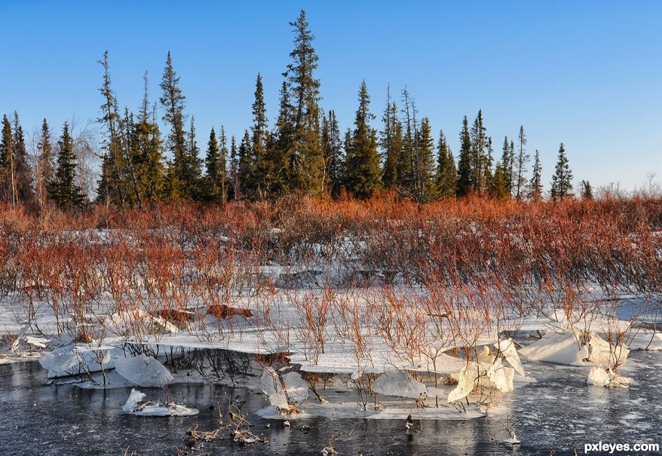 Creation of ice Sheets: Final Result