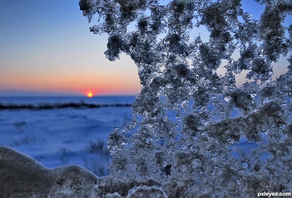 Iced up Window