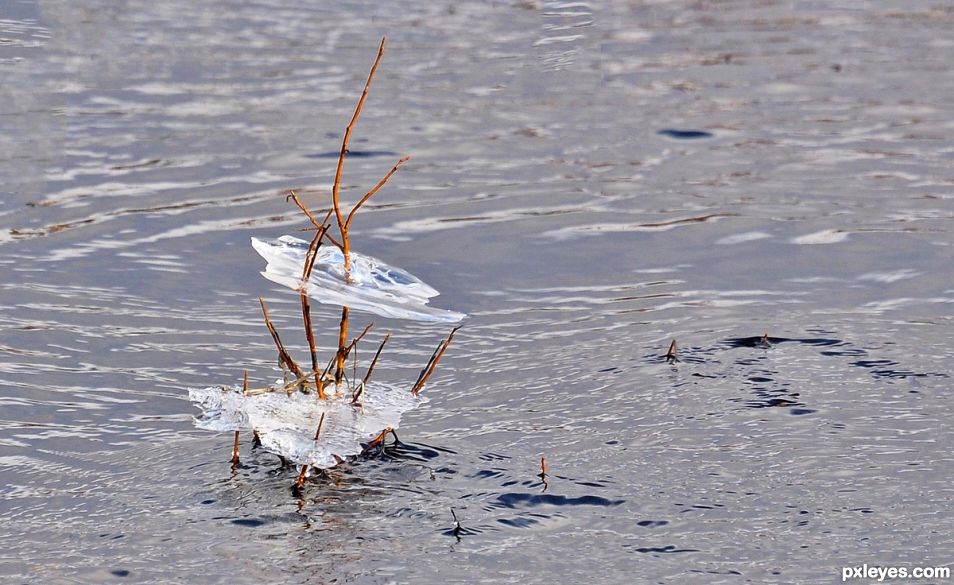 Creation of ice Sheets: Step 5