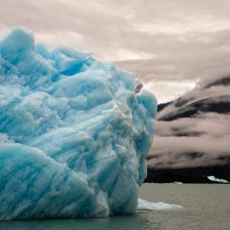 IceberginPatagonia