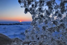Iced up Window