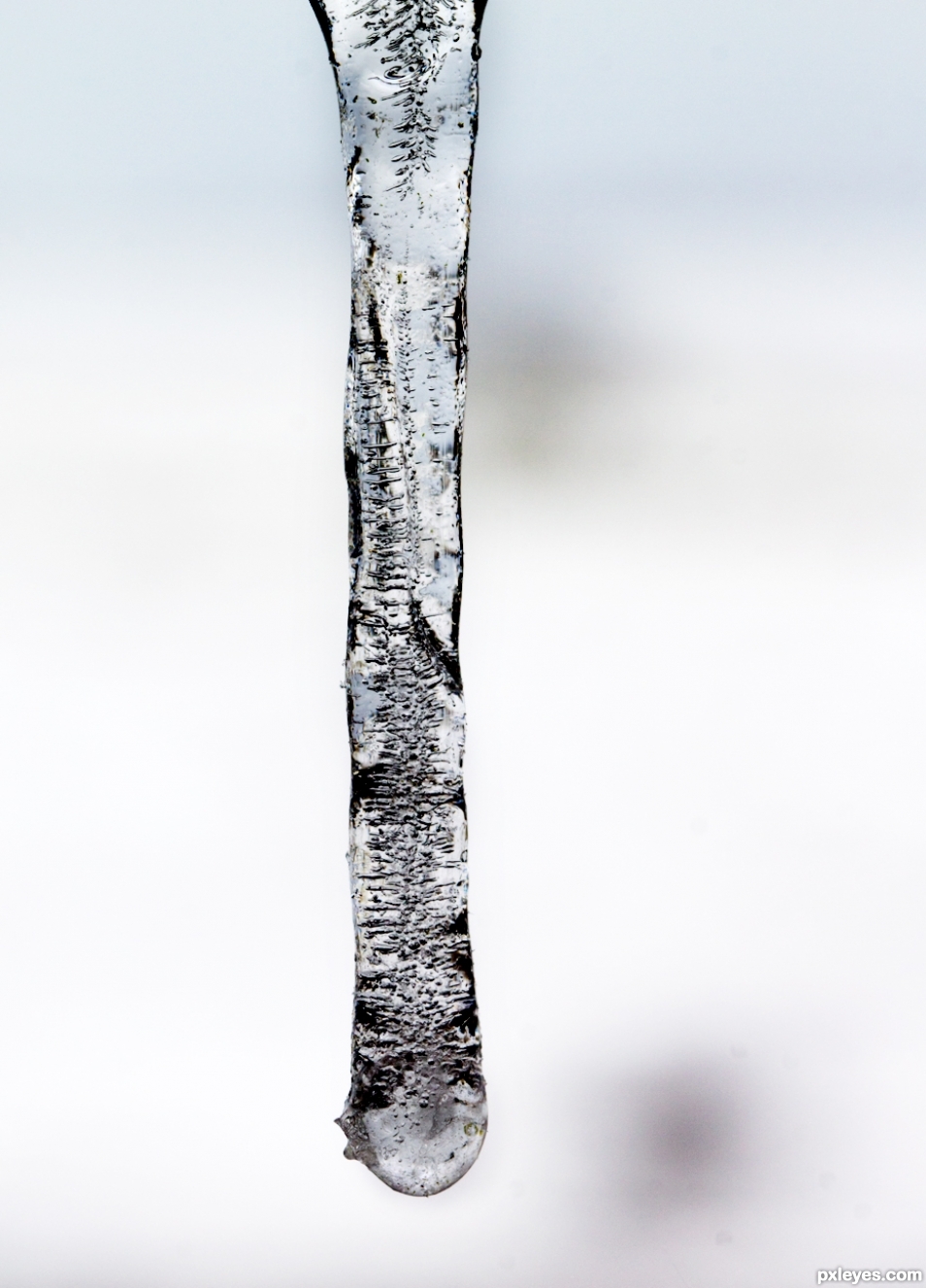 Icicle