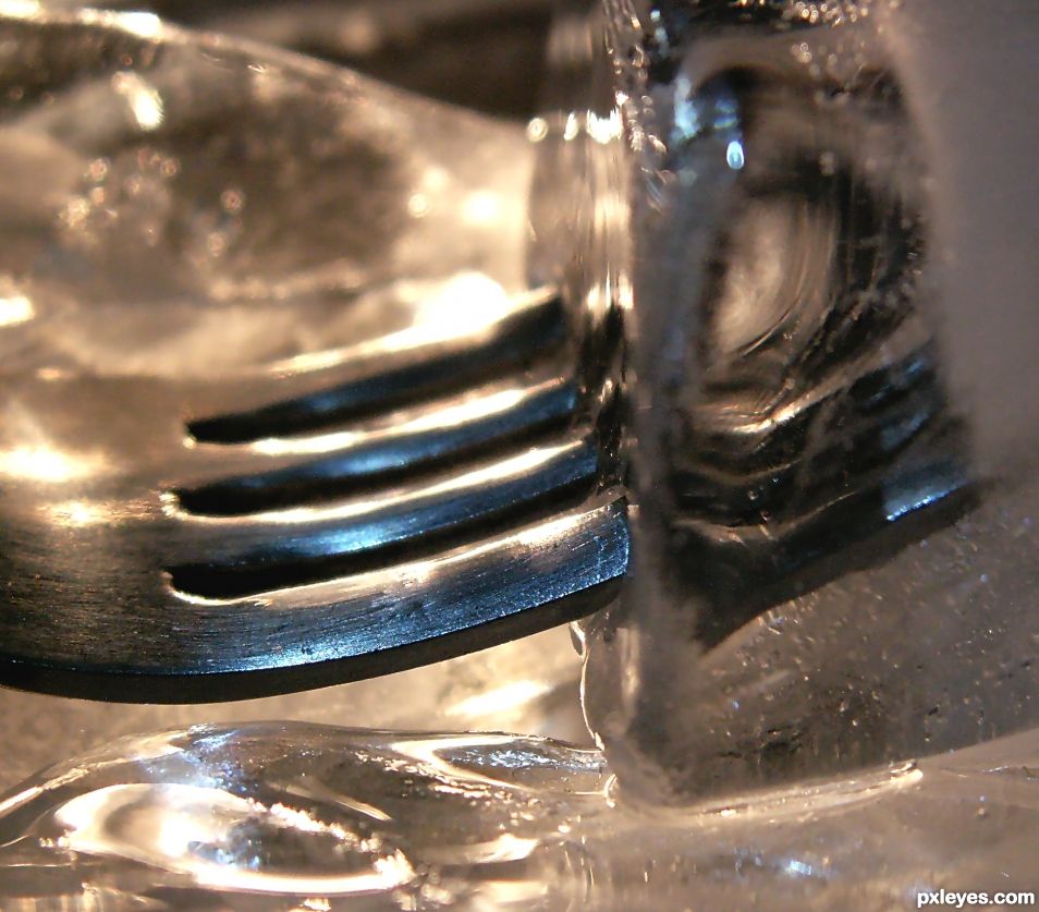 Fork n Ice