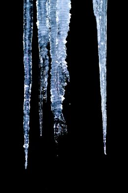 Dark Ice